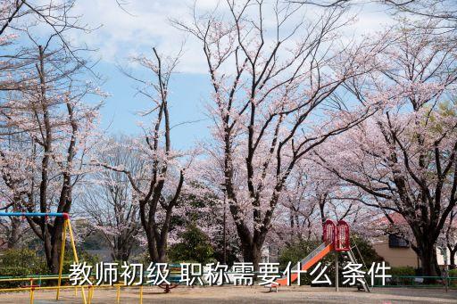 教師職稱評(píng)定條件,中小學(xué)一級(jí)教師職稱評(píng)定條件