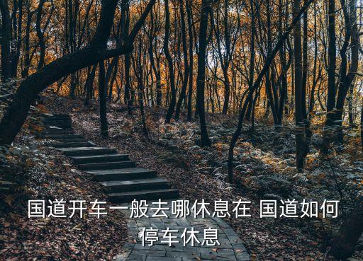  國道開車一般去哪休息在 國道如何停車休息