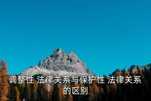 調(diào)整性 法律關(guān)系與保護(hù)性 法律關(guān)系的區(qū)別