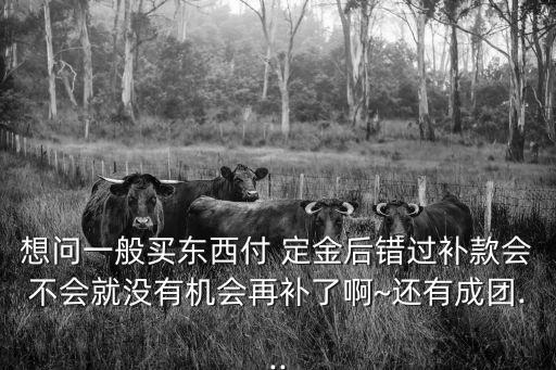 付過定金的后忘記補(bǔ)尾款