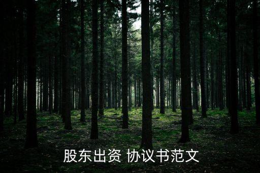 股東協(xié)議書 簡(jiǎn)寫,雙方股東協(xié)議書 簡(jiǎn)寫