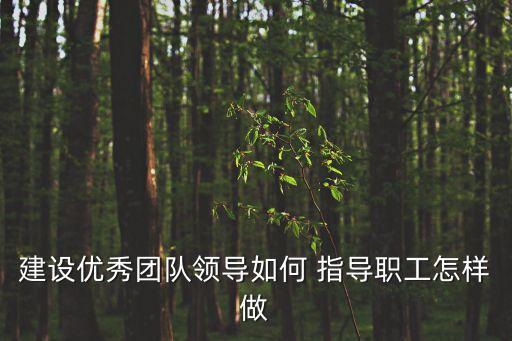 指導(dǎo)員工,如何正確的指導(dǎo)員工