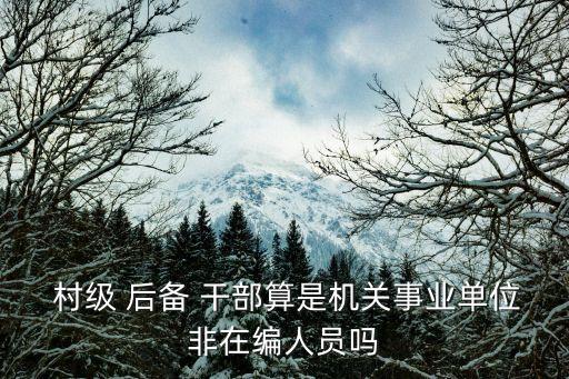  村級(jí) 后備 干部算是機(jī)關(guān)事業(yè)單位非在編人員嗎