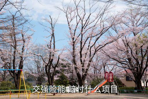 交強險賠付
