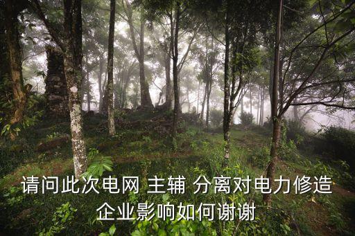 主輔分離,工業(yè)企業(yè)主輔分離