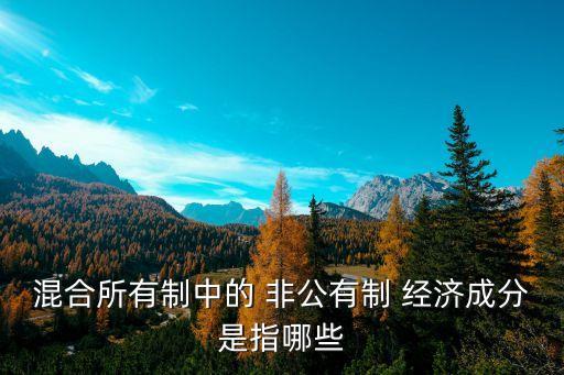 混合所有制中的 非公有制 經(jīng)濟(jì)成分是指哪些