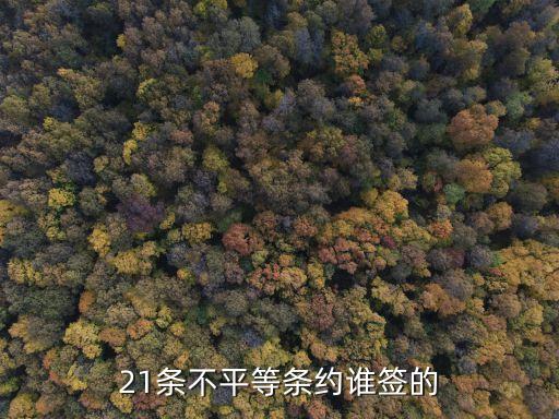 21條不平等條約誰(shuí)簽的