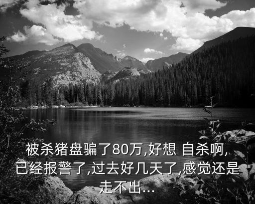 被殺豬盤騙了80萬,好想 自殺啊,已經(jīng)報警了,過去好幾天了,感覺還是走不出...