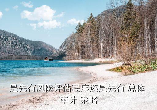 總體審計策略