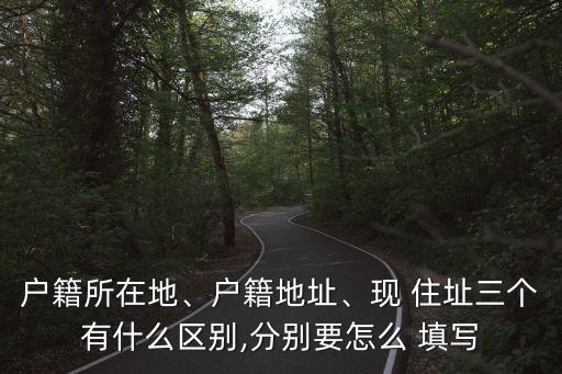 現(xiàn)住址怎么填寫