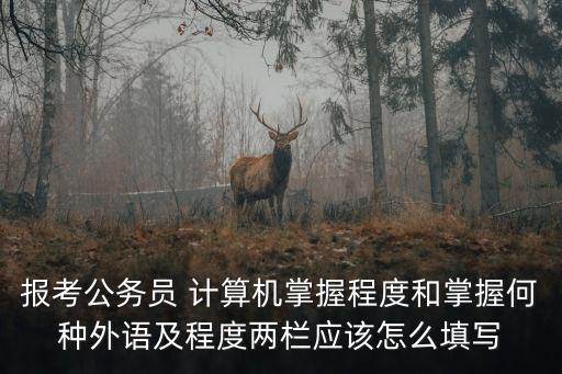 報考公務(wù)員 計算機(jī)掌握程度和掌握何種外語及程度兩欄應(yīng)該怎么填寫