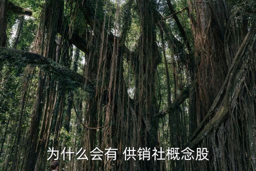 為什么會(huì)有 供銷社概念股