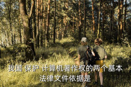 我國 保護 計算機著作權(quán)的兩個基本法律文件依據(jù)是