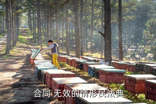  合同 無效的情形民法典
