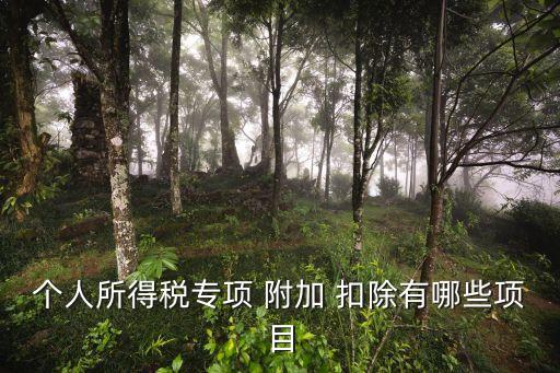 個人所得稅專項 附加 扣除有哪些項目