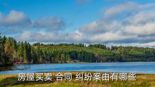 代理合同糾紛案由,債權(quán)轉(zhuǎn)讓合同糾紛案由