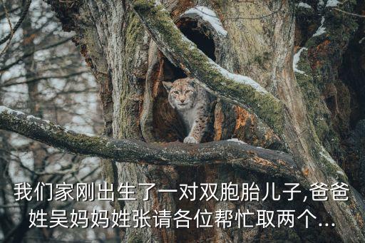 吳秀文