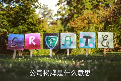 掛牌儀式流程方案,開業(yè)揭牌怎么拉紅布