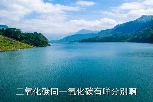 二氧化碳同一氧化碳有咩分別啊