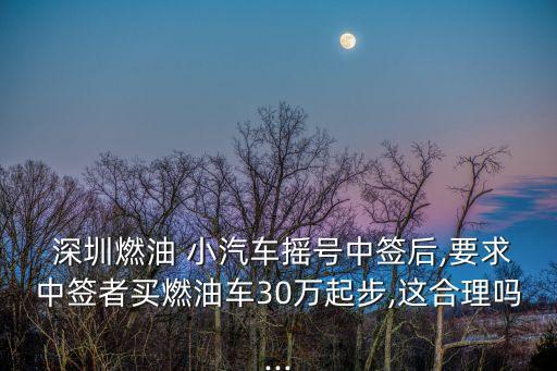 深圳小汽車