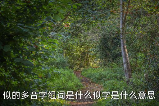 似的多音字組詞是什么似字是什么意思