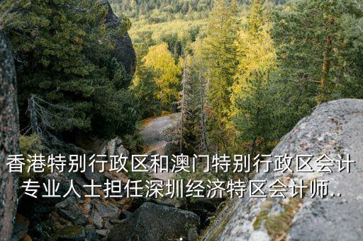 核數(shù)師