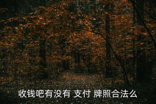 支付牌照