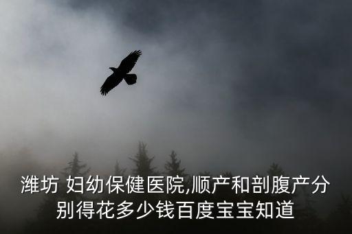 濰坊 婦幼保健醫(yī)院,順產(chǎn)和剖腹產(chǎn)分別得花多少錢百度寶寶知道