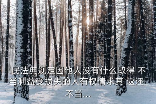  民法典規(guī)定因他人沒(méi)有什么取得 不當(dāng)利益受損失的人有權(quán)請(qǐng)求其 返還 不當(dāng)...