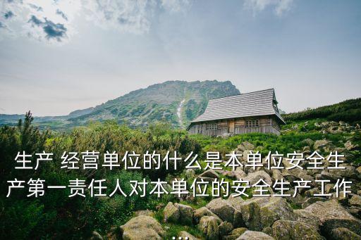 生產(chǎn) 經(jīng)營(yíng)單位的什么是本單位安全生產(chǎn)第一責(zé)任人對(duì)本單位的安全生產(chǎn)工作...