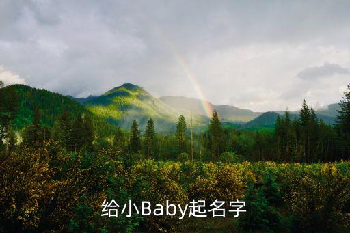 給小Baby起名字