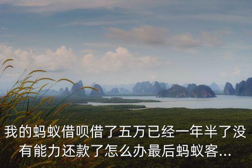 我的螞蟻借唄借了五萬(wàn)已經(jīng)一年半了沒(méi)有能力還款了怎么辦最后螞蟻客...