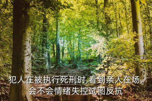 犯人在被執(zhí)行死刑時(shí),看到親人在場,會(huì)不會(huì)情緒失控試圖反抗