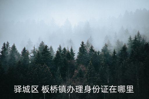 驛城區(qū) 板橋鎮(zhèn)辦理身份證在哪里