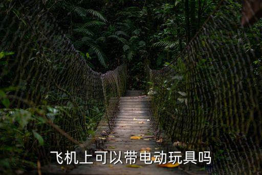 飛機(jī)上可以帶電動(dòng)玩具嗎