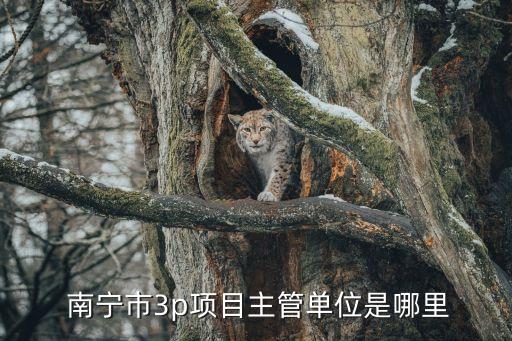  南寧市3p項目主管單位是哪里