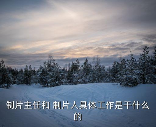 執(zhí)行制片人,不止不休執(zhí)行制片人
