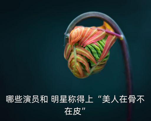 哪些演員和 明星稱得上“美人在骨不在皮”