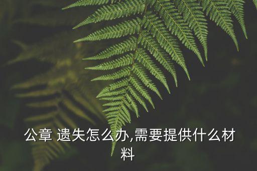  公章 遺失怎么辦,需要提供什么材料