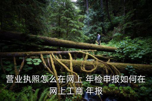 營業(yè)執(zhí)照怎么在網(wǎng)上 年檢申報(bào)如何在網(wǎng)上工商 年報(bào)