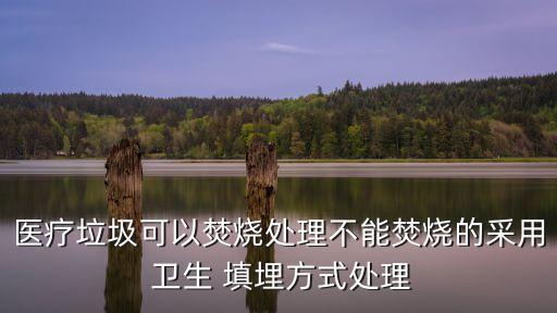 醫(yī)療垃圾可以焚燒處理不能焚燒的采用 衛(wèi)生 填埋方式處理