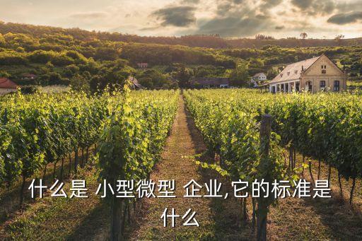 小型企業(yè)