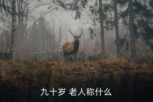 九十歲 老人稱什么