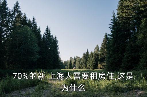 新上海人