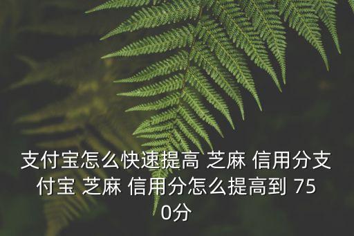 支付寶怎么快速提高 芝麻 信用分支付寶 芝麻 信用分怎么提高到 750分