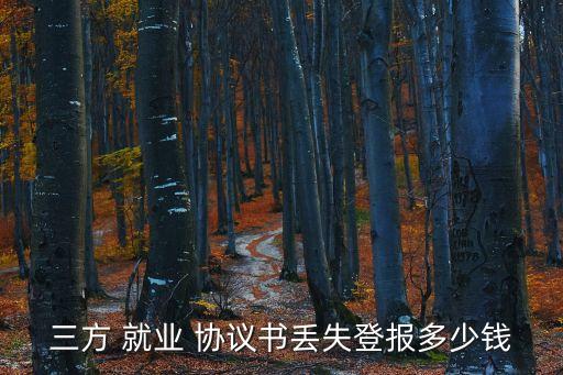 就業(yè)協(xié)議圖片高清,第三方就業(yè)協(xié)議圖片