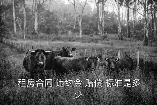租房單方面違約 賠償標(biāo)準(zhǔn),租房合同單方面違約怎么賠償