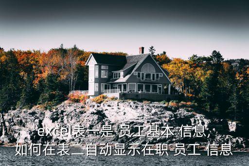excel表一是 員工基本 信息,如何在表二自動(dòng)顯示在職 員工 信息