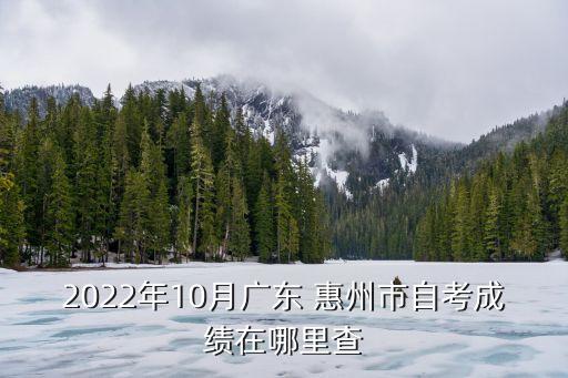 2022年10月廣東 惠州市自考成績在哪里查