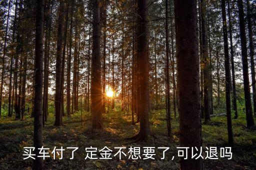 買車付了 定金不想要了,可以退嗎